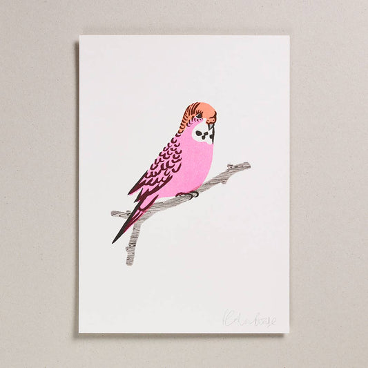 Petra Boase Ltd - Risograph Print - Pink Budgie