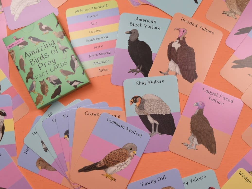 Button & Squirt - Amazing Birds of Prey Fact Cards