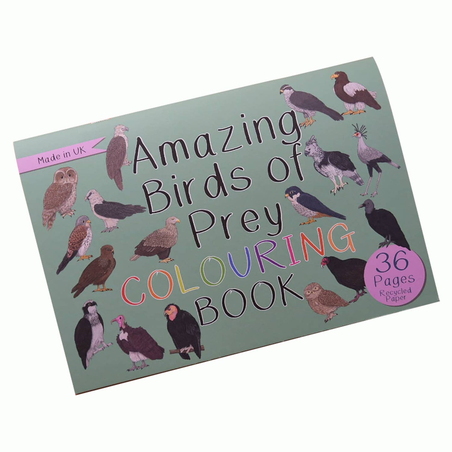 Button & Squirt - Amazing Birds of Prey Colouring Book
