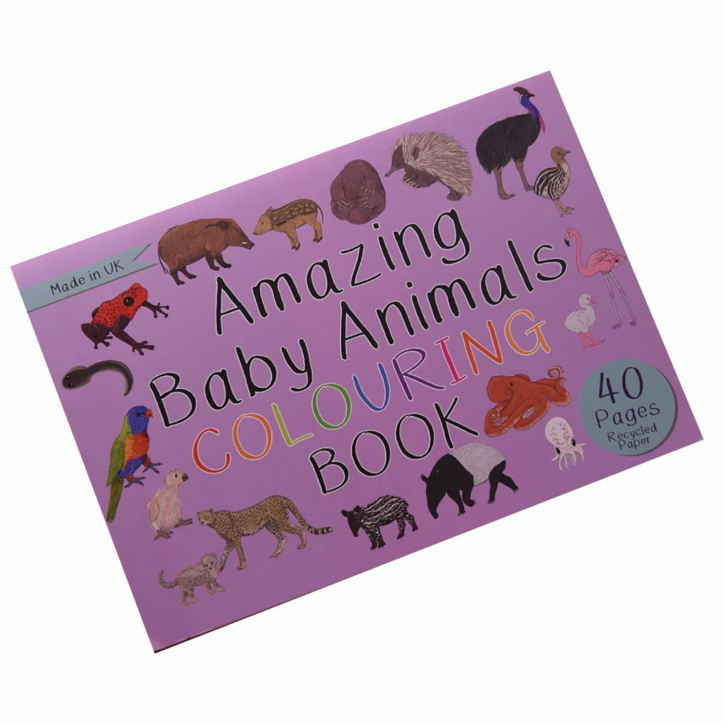 Button & Squirt - Amazing Baby Animals Colouring Book