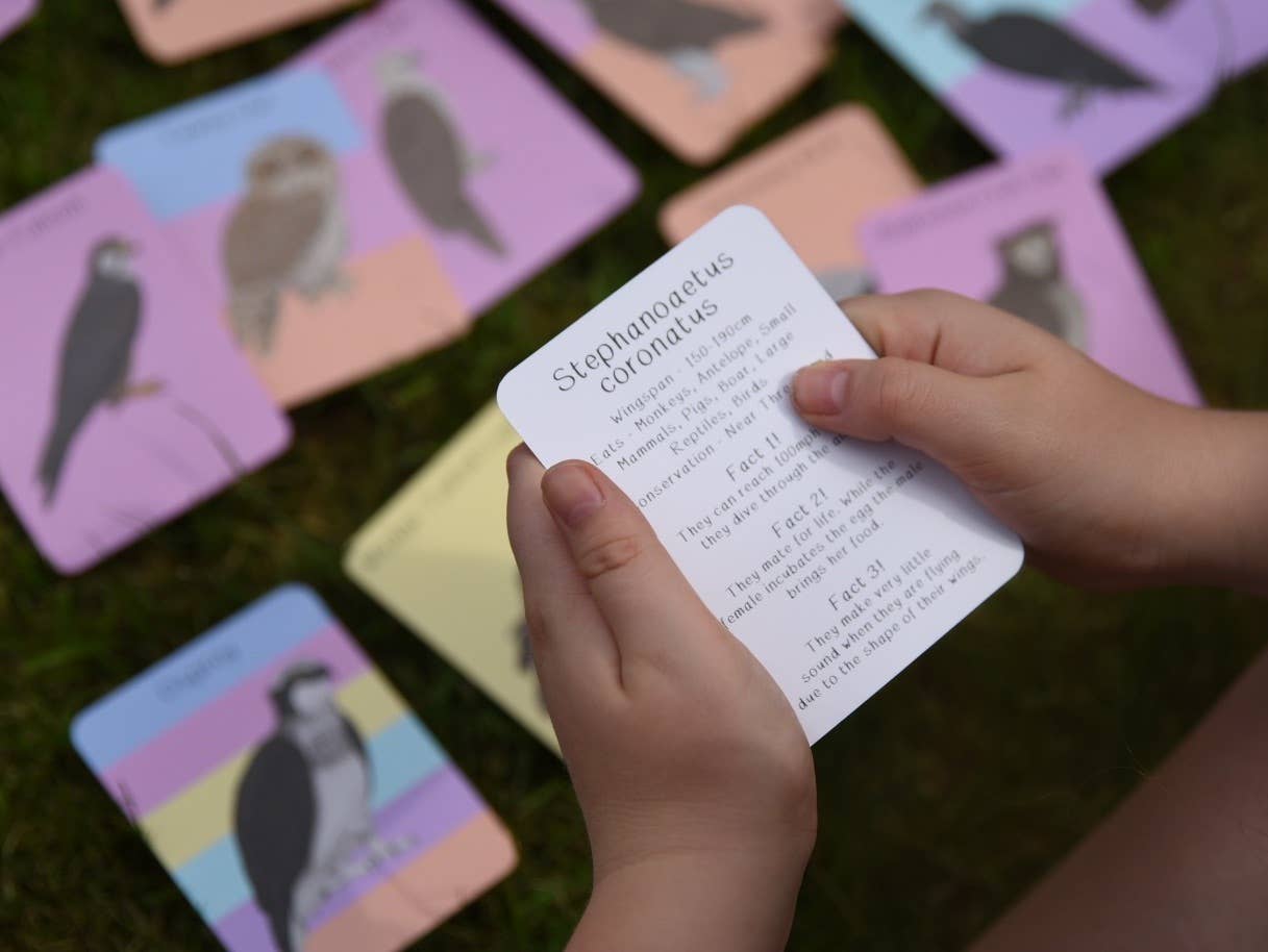 Button & Squirt - Amazing Birds of Prey Fact Cards