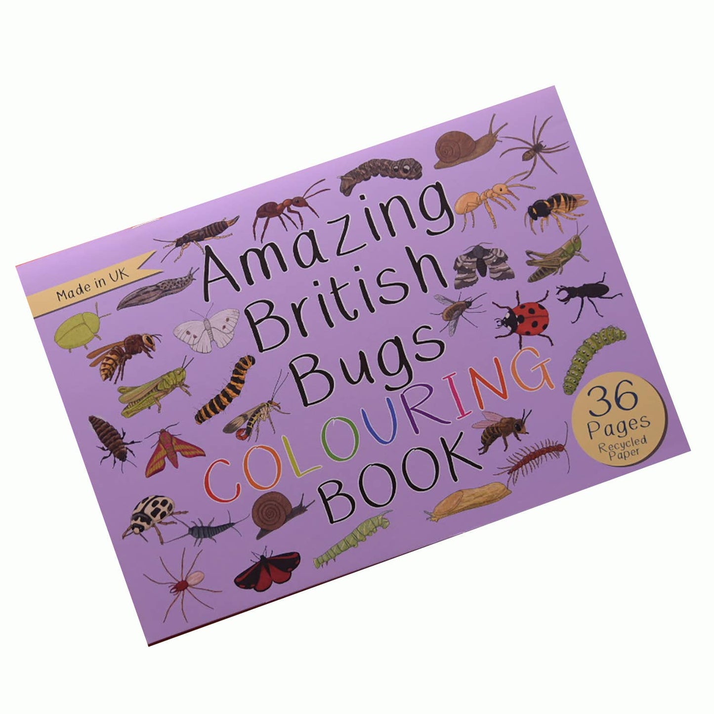 Button & Squirt - Amazing British Bugs Colouring Book