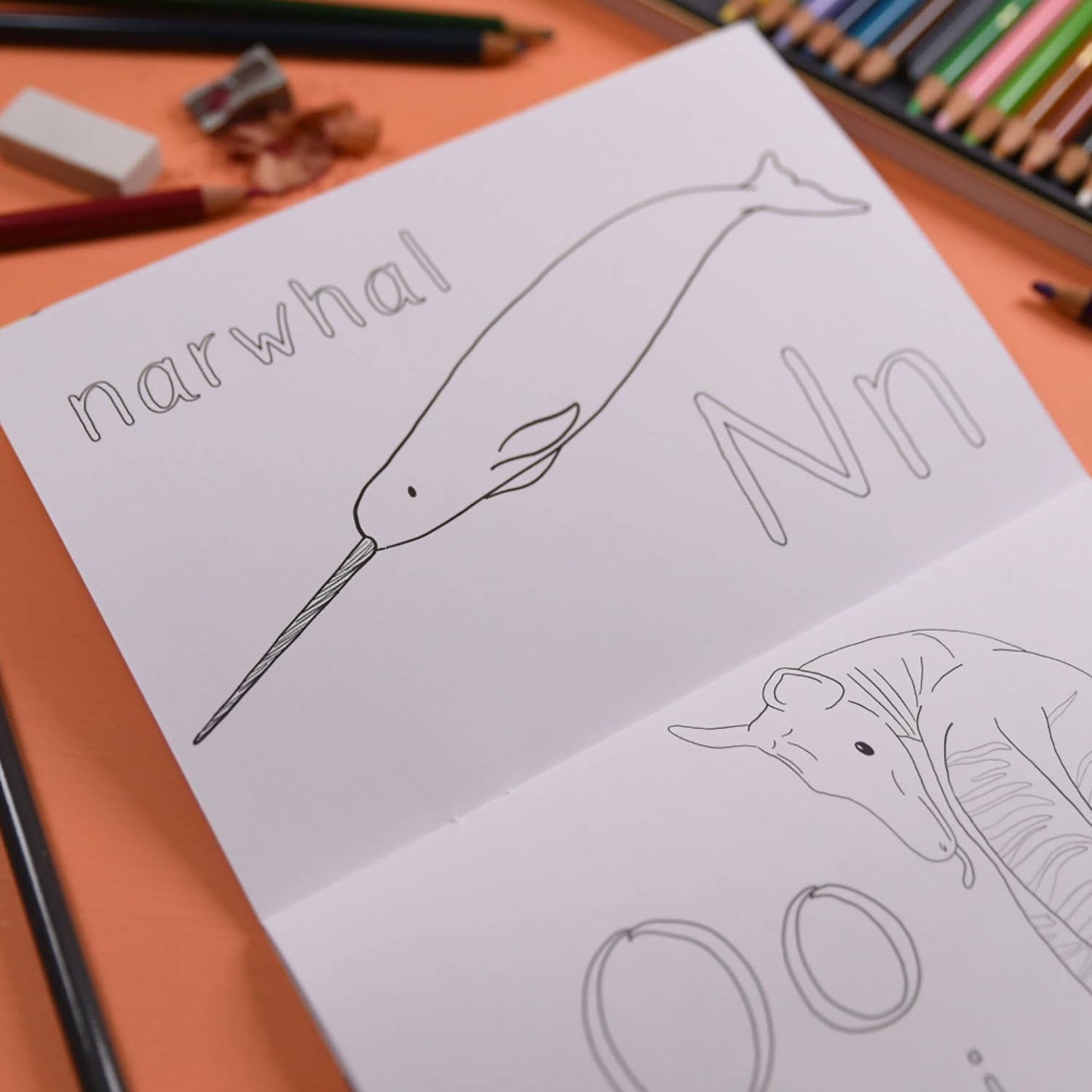 Button & Squirt - Alphabet of Amazing Animals Colouring Book