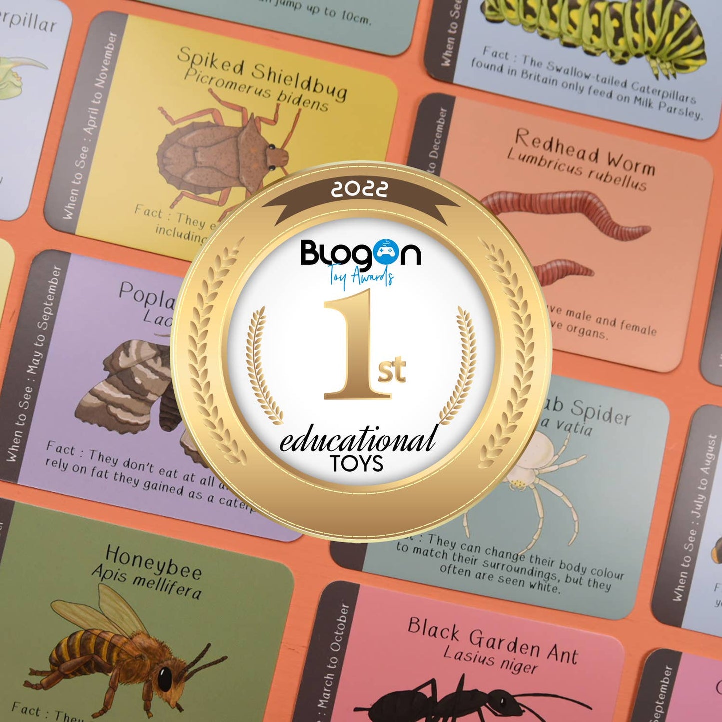 Button & Squirt - Amazing British Bugs ID Cards