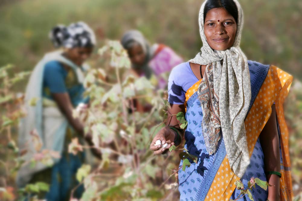 Piccalilly - MUSLIN SWADDLE - HONEY BEE