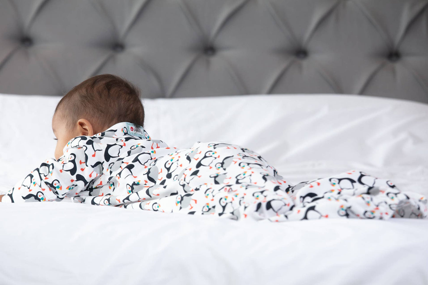 Piccalilly - BABY NIGHTGOWN - PUFFIN: 0-6 MONTHS