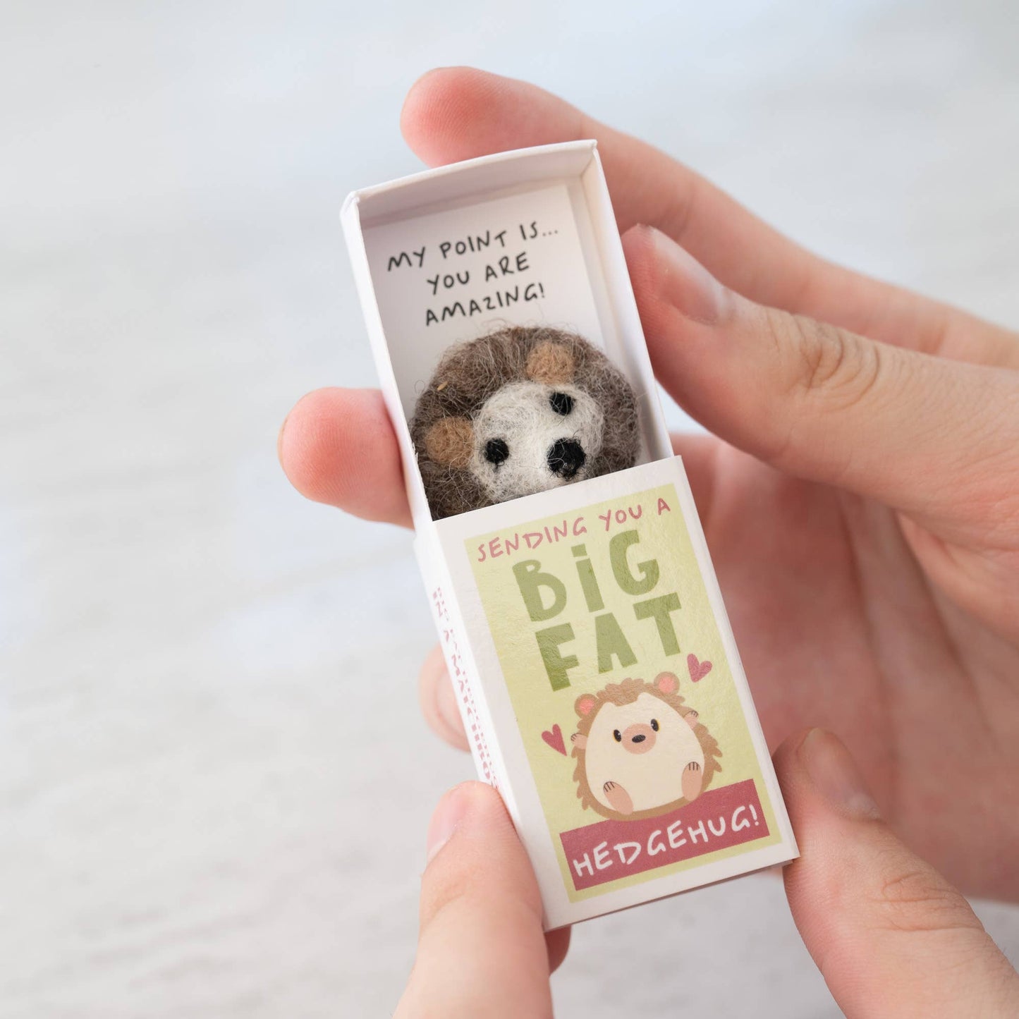 Marvling Bros Ltd - Sending You A Hedgehug In A Matchbox