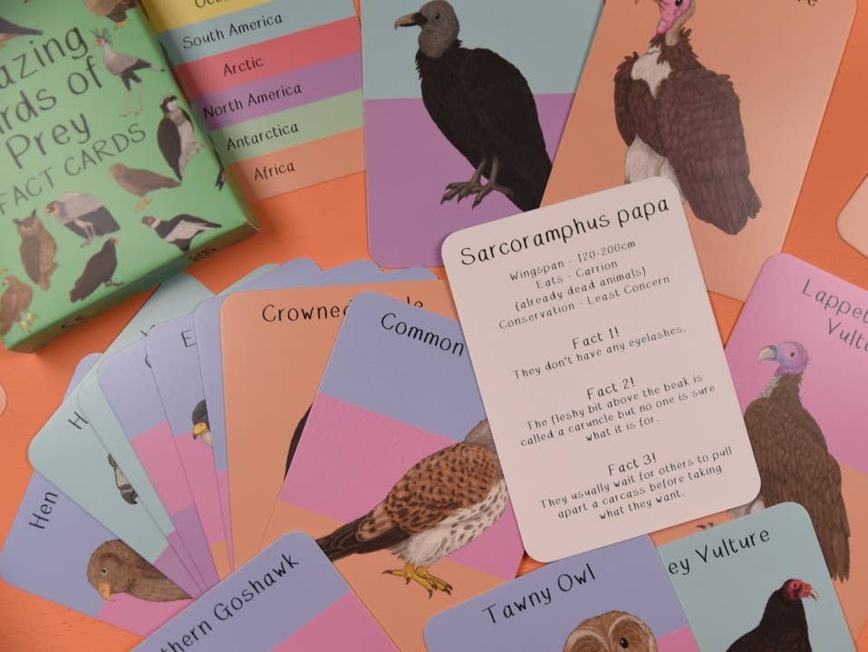 Button & Squirt - Amazing Birds of Prey Fact Cards