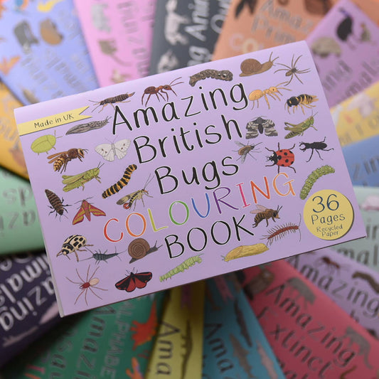 Button & Squirt - Amazing British Bugs Colouring Book