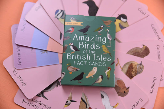 Button & Squirt - Amazing Birds of the British Isles Fact Cards