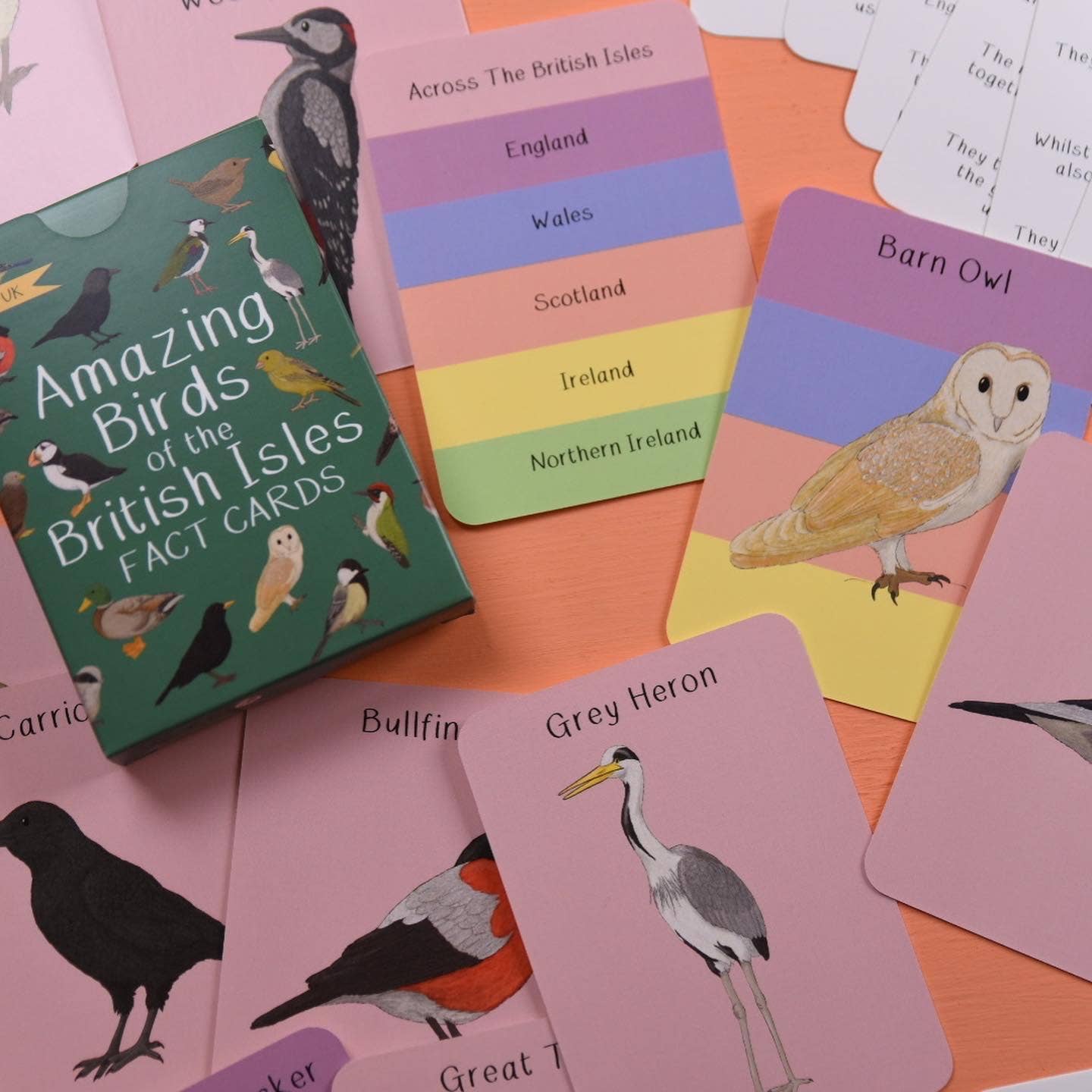 Button & Squirt - Amazing Birds of the British Isles Fact Cards