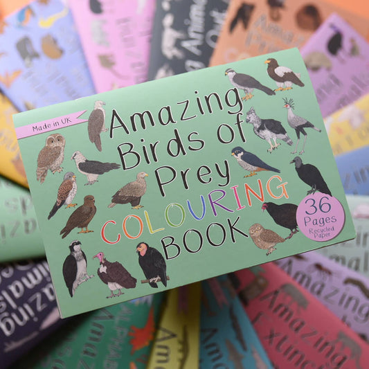 Button & Squirt - Amazing Birds of Prey Colouring Book