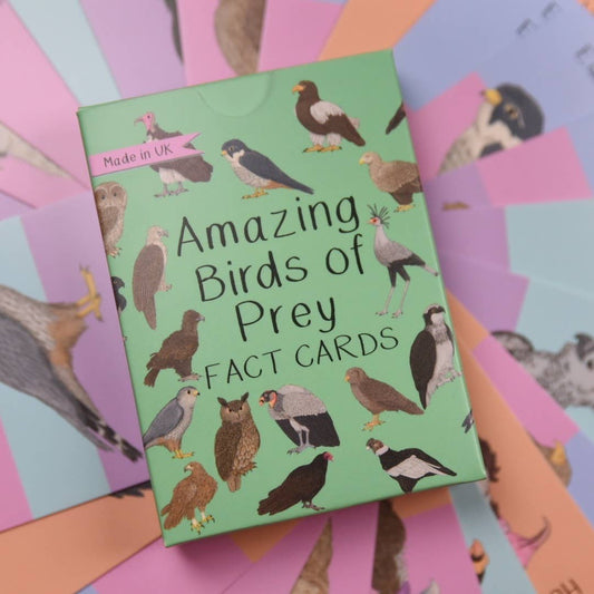 Button & Squirt - Amazing Birds of Prey Fact Cards