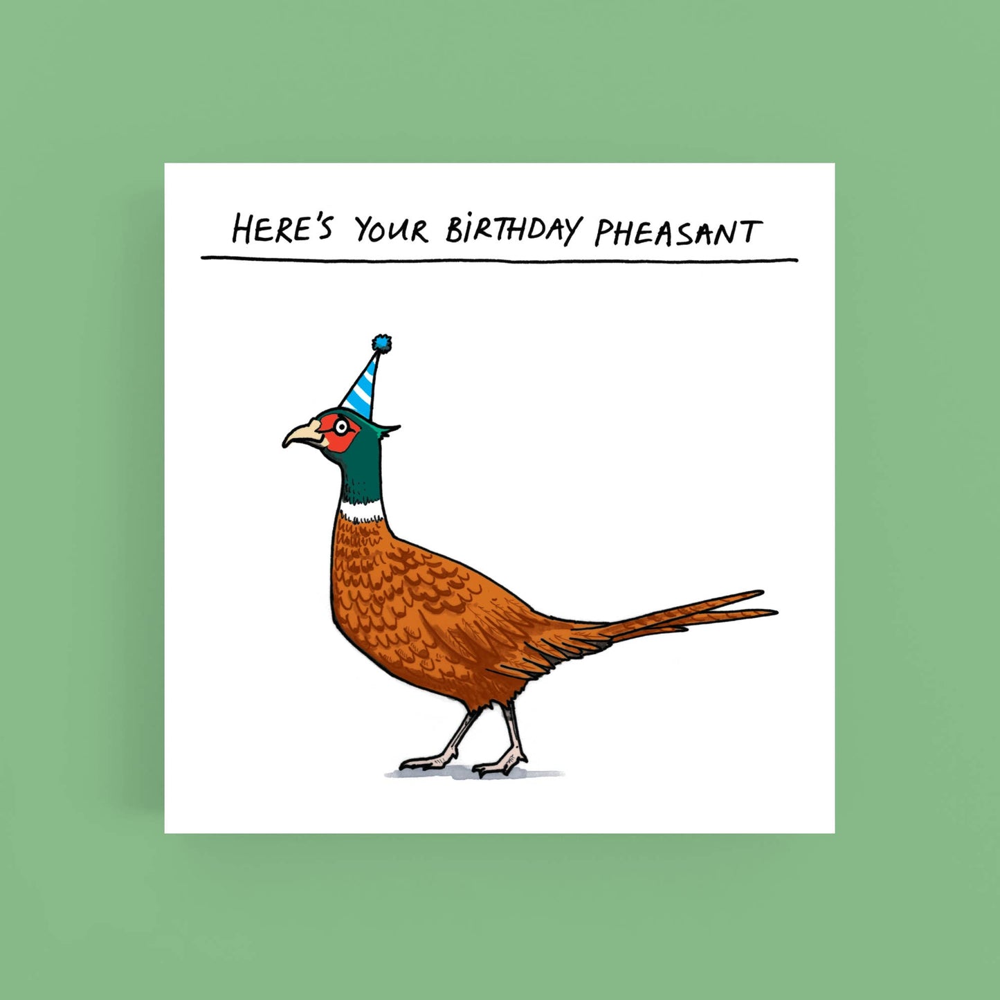 Cardinky - Birthday Pheasant - Humour- Birthday - Greeting Card: Self seal belly bands