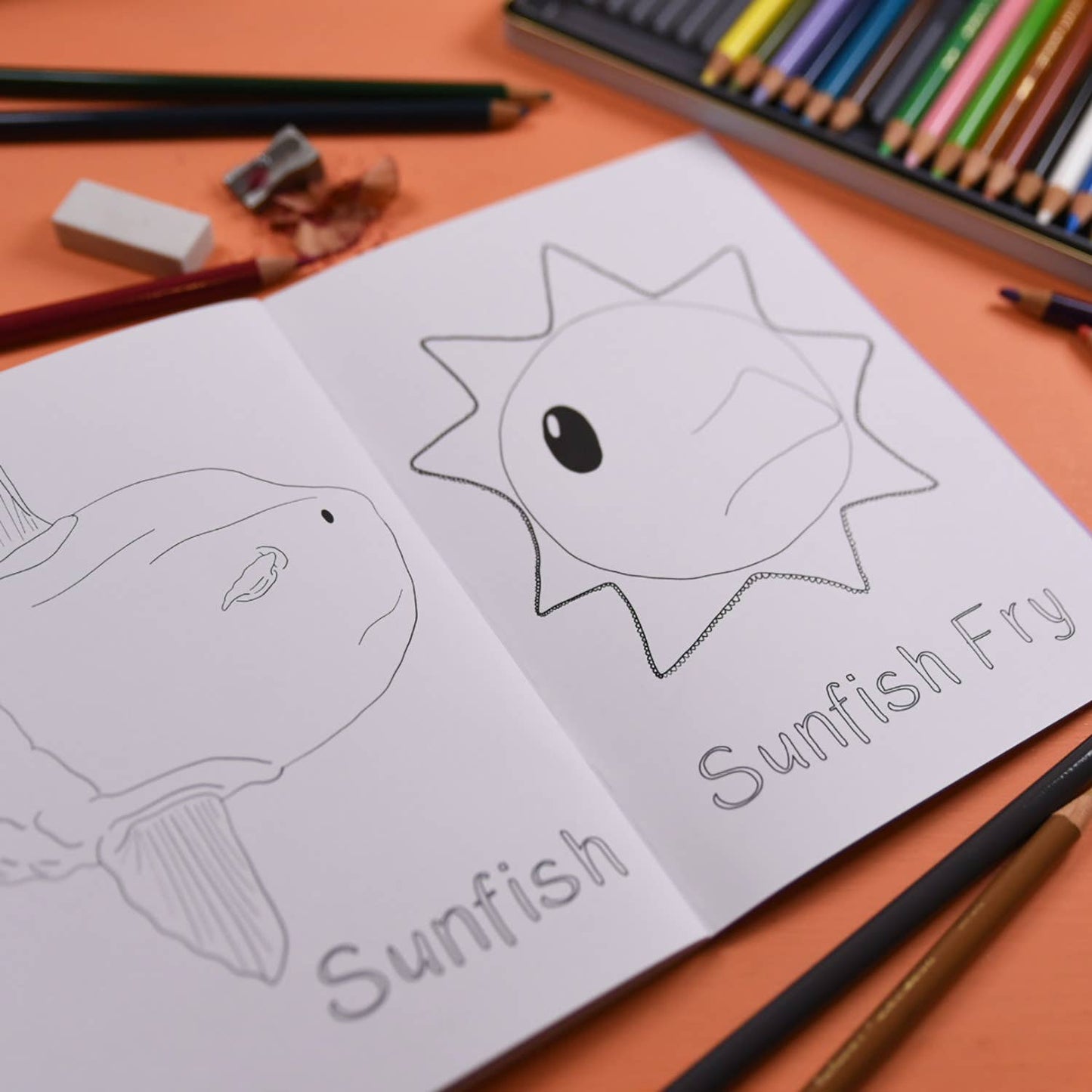 Button & Squirt - Amazing Baby Animals Colouring Book