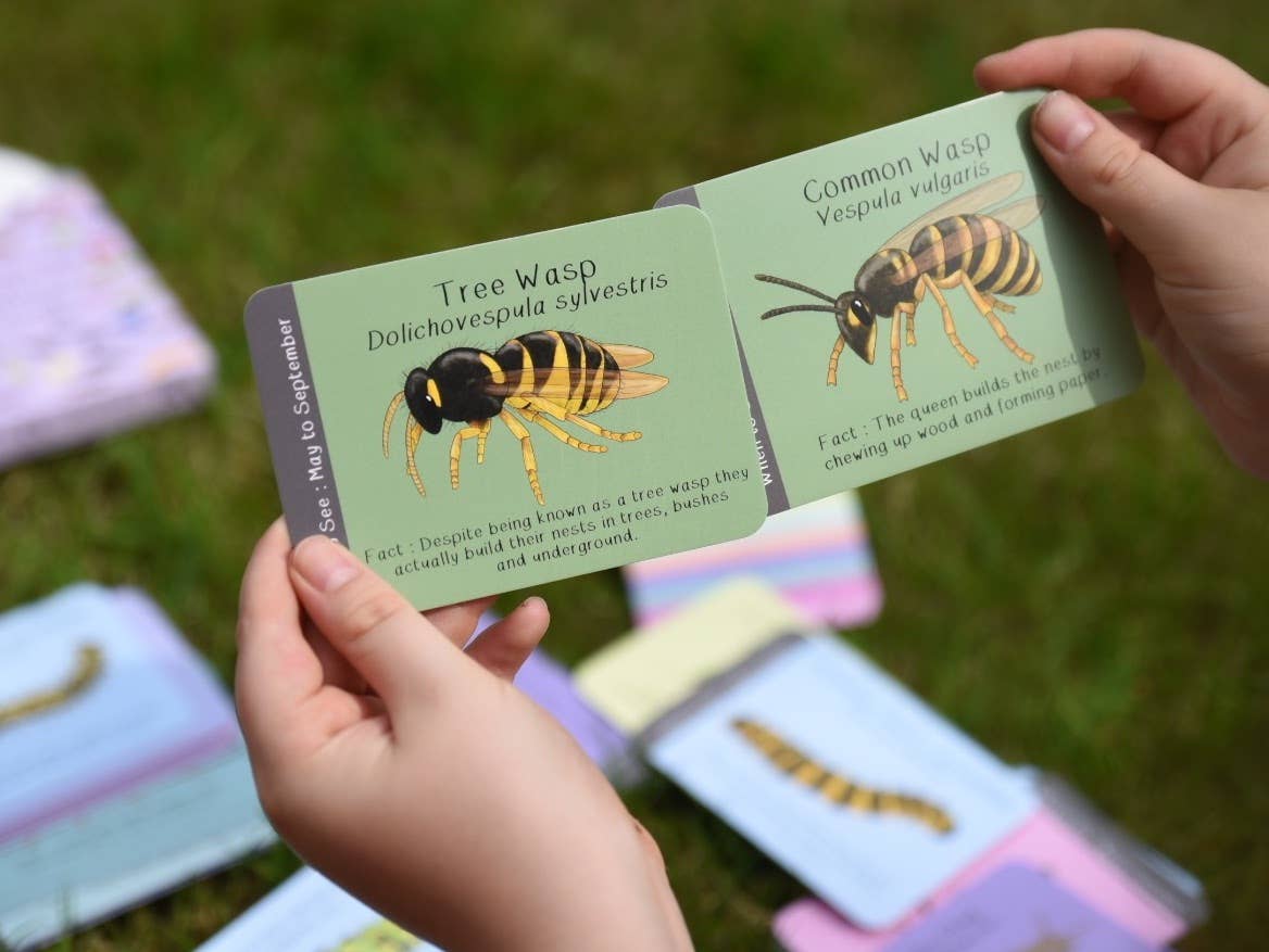 Button & Squirt - Amazing British Bugs ID Cards