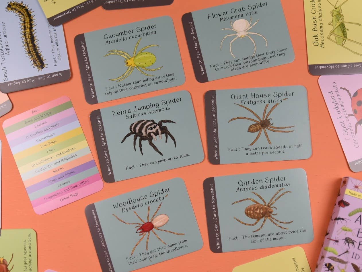 Button & Squirt - Amazing British Bugs ID Cards