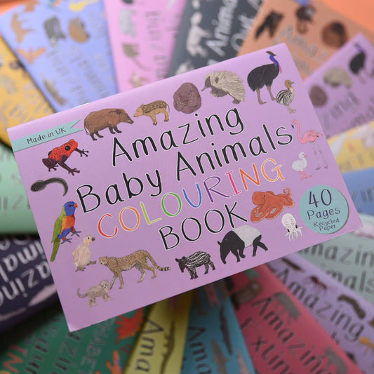 Button & Squirt - Amazing Baby Animals Colouring Book