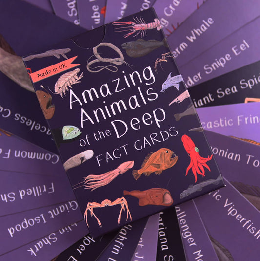 Button & Squirt - Amazing Animals of the Deep Fact Cards