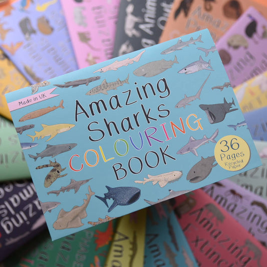 Button & Squirt - Amazing Sharks Colouring Book