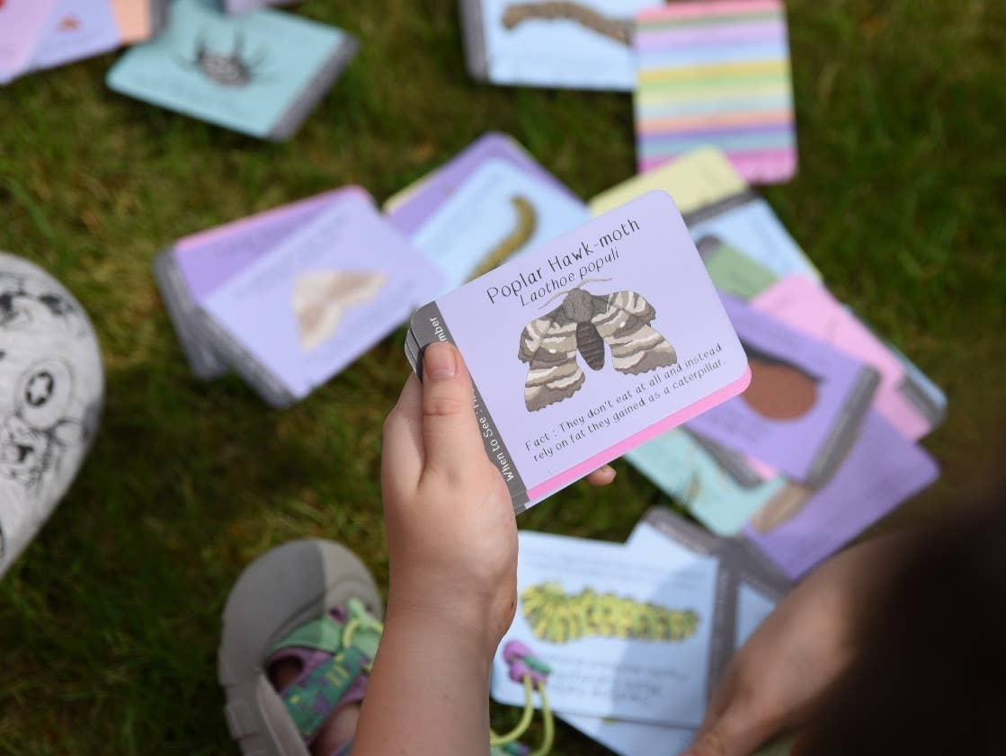 Button & Squirt - Amazing British Bugs ID Cards
