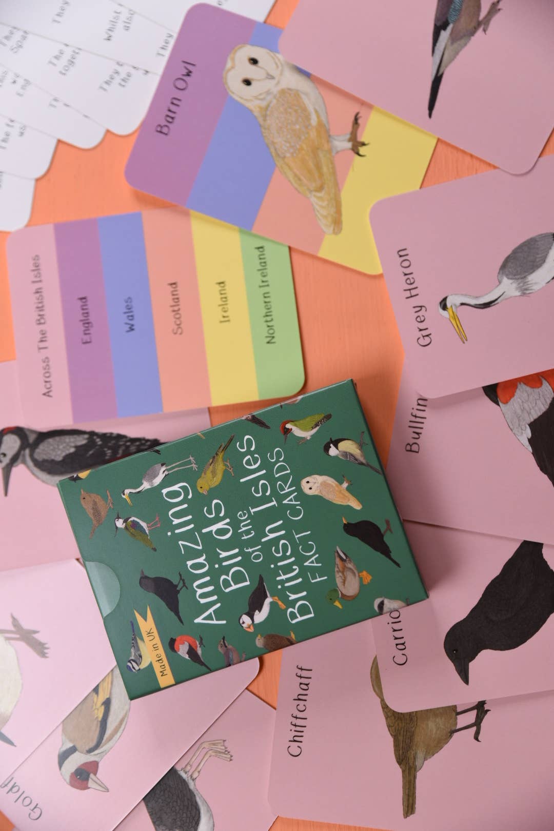 Button & Squirt - Amazing Birds of the British Isles Fact Cards