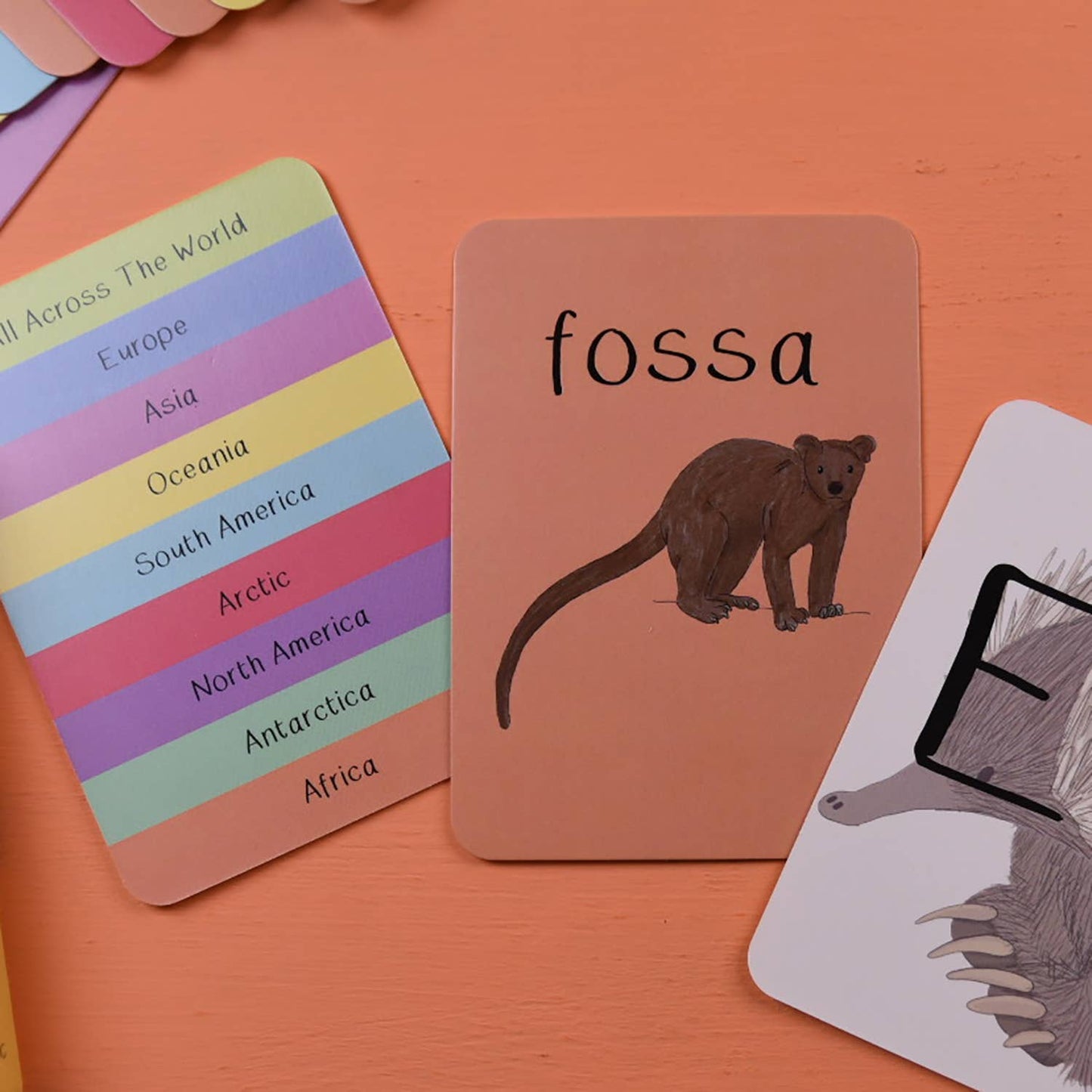 Button & Squirt - Alphabet of Amazing Animals Flash Cards