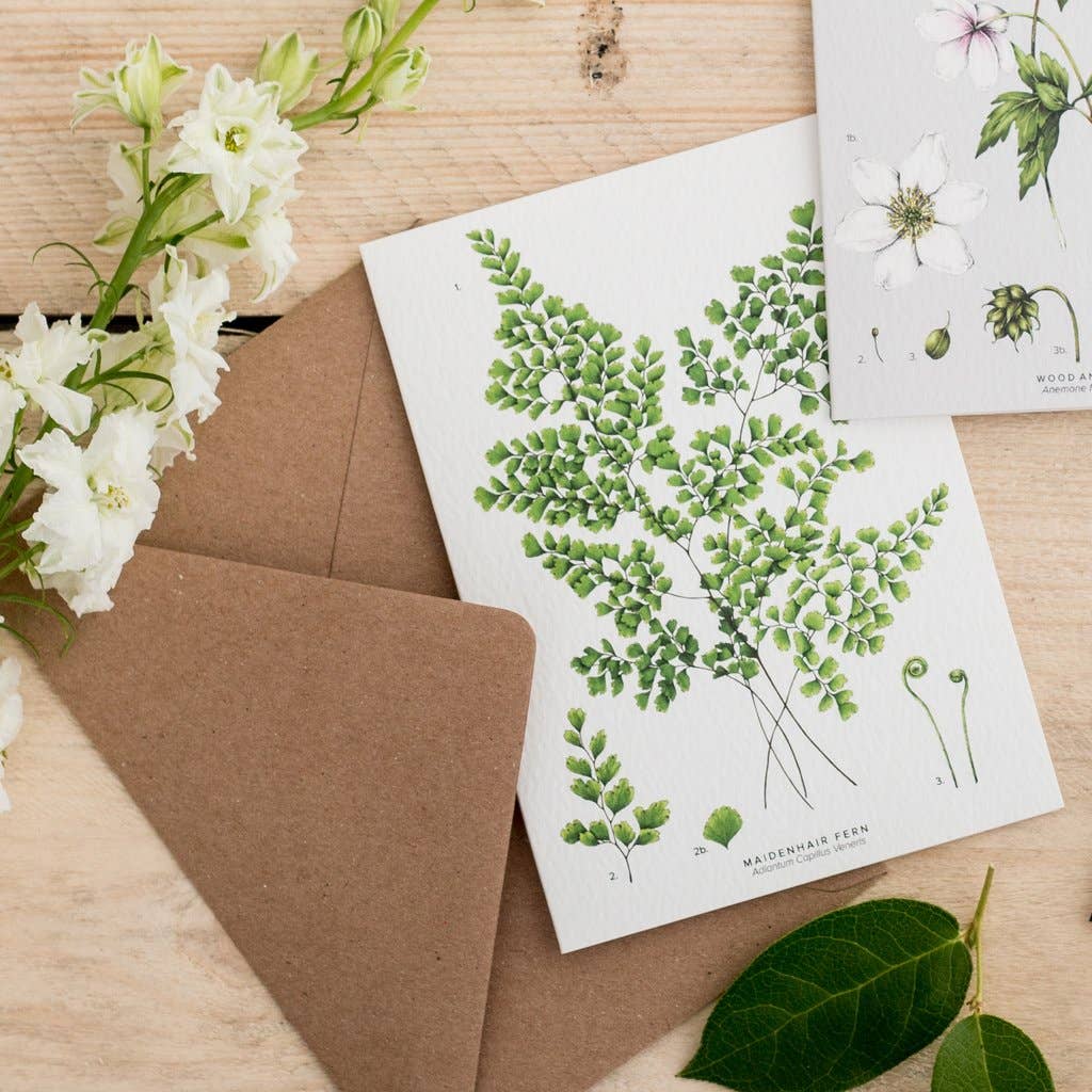 Catherine Lewis Design - Maidenhair Fern